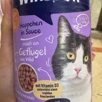 کنسرو وینستون گربه