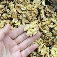 مغز گردو تویسترکان