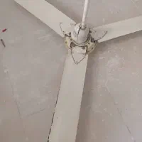 پنکه سقفی|پنکه و تصفیهکنندهٔ هوا|رشت, دیانتی|دیوار