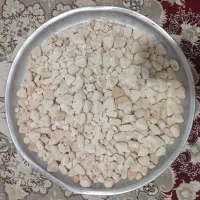 کشک گوسفندی