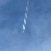 ۱میلی طلای رایگان