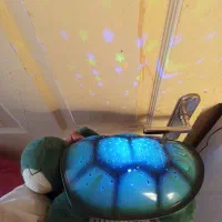 عروسک|اسباب‌بازی بچه|سنندج, |دیوار