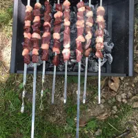 منقل  زغالی تاشو رحلی (زغالی)|اجاق گاز و لوازم برقی پختوپز|تبریز, |دیوار