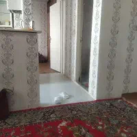 همخانه خانم