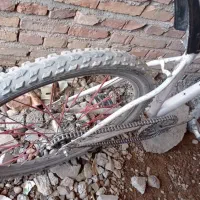 دوچرخه 26|دوچرخه، اسکیت، اسکوتر|بمپور, |دیوار