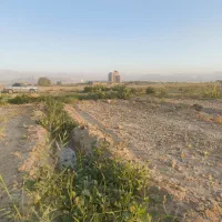 فروش باغ پسته|فروش دفتر صنعتی، کشاورزی، تجاری|سمنان, |دیوار