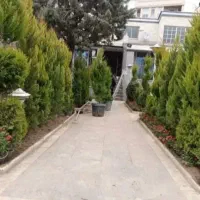 خدمات باغبانی باغچه کاری بیل زنی باغچه کاشت گل و.