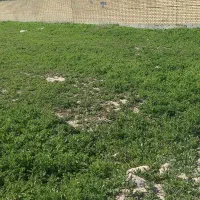 فروش زمین ۲۱۰ متری پشت بیمارستان قلعه خمیسی|فروش زمین و ملک کلنگی|باغ ملک, |دیوار