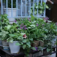 اجاره منزل سوئیت|اجارهٔ کوتاه‌مدت آپارتمان و سوئیت|اصفهان, شهرک امام خمینی|دیوار