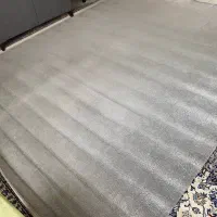 موکت ظریف مصور