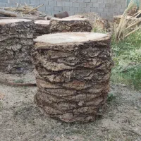 صندلی تنه درخت خرما