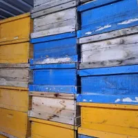 طبق کندوی زنبور عسل