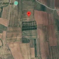 4هکتار اجاره داده میشود