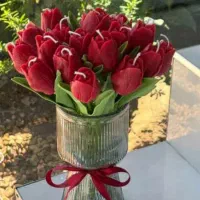 گل لاله شمعی