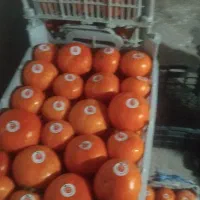 خرید وفروش خرمالو|خوردنی و آشامیدنی|سیلوانه, |دیوار