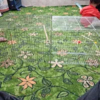 قفس بزرگ دوتاه شون