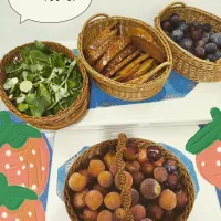 انواع سبد های اشپزخانه