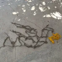 زنجیر چرخ|قطعات یدکی و لوازم جانبی|یاسوج, |دیوار