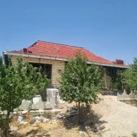 مجری تخصصی انواع سقف های شیبدار،آلاچیق|خدمات پیشه و مهارت|ارژن, |دیوار