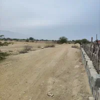 فروش زمین باغی بنک