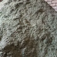 فروش یونجه چین چهارم