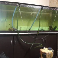 آکواریوم بزرگ ماهیران به همراه میز