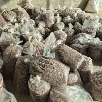 خرمای خاصه