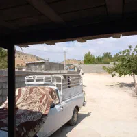 وانت پیکان