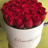 گل طبیعی رز هلندی باکسی فقط شاخه ای ۲۲ تومن|گل و گیاه طبیعی|مشهد, آزادشهر|دیوار