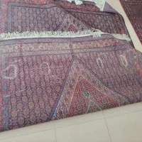 فرش ۶متری دستباف|فرش|سنندج, |دیوار