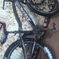 دوچرخه 24 مدل آمانو