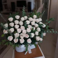گل روبانی کادوی روز دختر