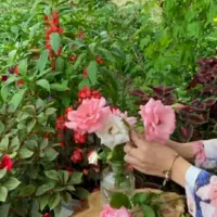 خانم ۲۳ جویای کار هستم