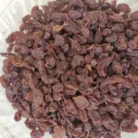 کشمش افتابی|خوردنی و آشامیدنی|خانمیرزا, |دیوار