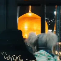 قربون کبوترای حرمت امام رضا...|فعالیت داوطلبانه|شیراز, شاهچراغ|دیوار