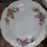 بشقاب چینی|ظروف سرو و پذیرایی|اردبیل, |دیوار