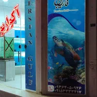آکـواریوم خلیج فـارس
