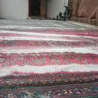 قالیشویی پاک(جنامی)