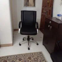 صندلی چرخدار|صندلی و نیمکت|کرج, گوهردشت|دیوار