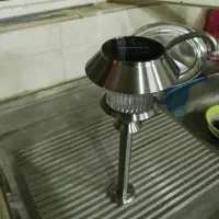 چرای پایه ای قارچی