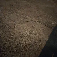 زمین 200متری