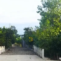 ویلا با انشعابات وسند تکبرگ شلمان