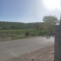 فروش-زمین-باغی