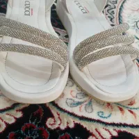 کفش مجلسی|کیف، کفش، کمربند|زنجان, |دیوار