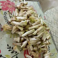 کنگر تازه و پاک شده و کاملآ ارگانیک