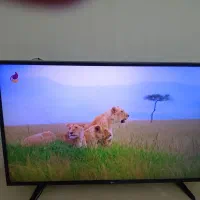 تلویزیون ال ای دی ۴۹ اینچ الجی