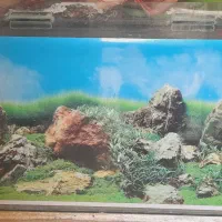 آکواریوم یک متری