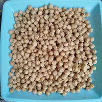 فروش انواع حبوبات مرغوب بصورت عمده و جزئی