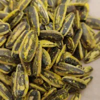 تخمه آفتابگردان و انواع آلو|حراج|خرمدره, |دیوار