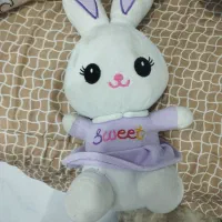 دو عروسک تروتمیز